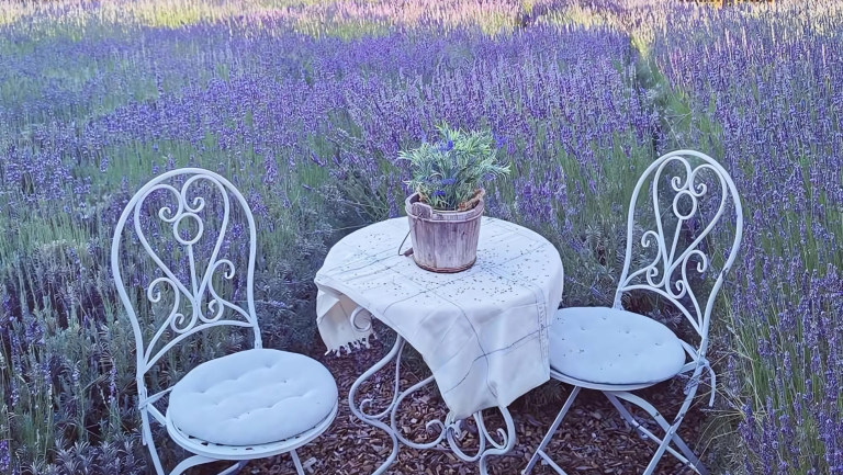 CyHerbia Botanical Park Cyprus Business Group CBG Venue for Events 3 768x433