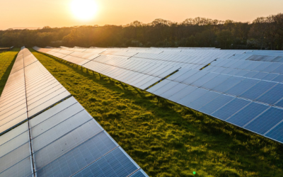 Microsoft Expands Renewable Energy Portfolio with 100 MW Solar Acquisition in Japan”
